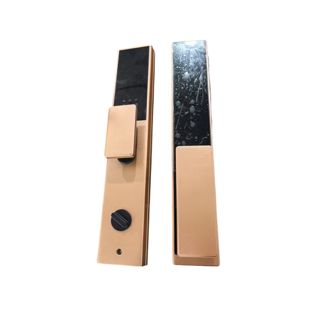 Hot Selling 3d Face Recognition Security Biometrics Tuya Home Smart Fingerprint Lock for Front Door