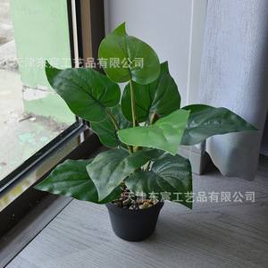 Plante verte artificielle en pot, mini bonsaï, feuille de coquille de tortue, décoration de maison, ornement de bureau, accessoire de photographie, 10 cm-30 cm - Product Image 2