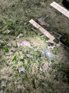 Encimeras de Cuarzo Verde Esmeralda, Piedra Natural Pulida, Encimeras Modernas Ecológicas para Hoteles, Cocinas, Mesas de Centro - Product Image 6