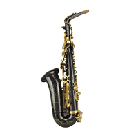 Superior Quality Woodwind Instrument EB Tone Alto Saxophone with Brass Body Performance Use
