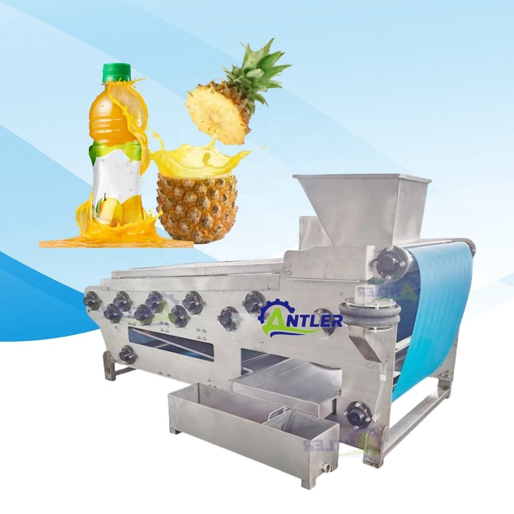 Indiamart Pulp Pineapple Pineapple Making Machines Efficient