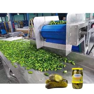 Leadworld Fully Automatic Commercial Canned Making Cucumber Pickles Production Line