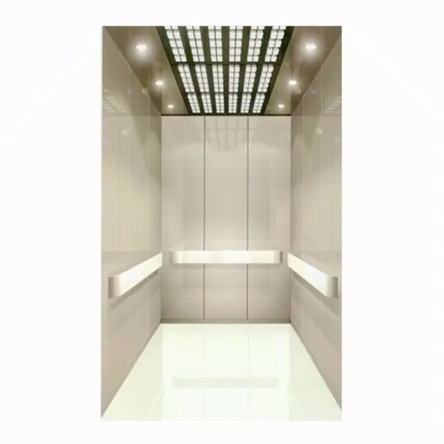 Luxurious Passenger Elevator 1.0m/s 630kg / elevator parts / Lift cabin for sal