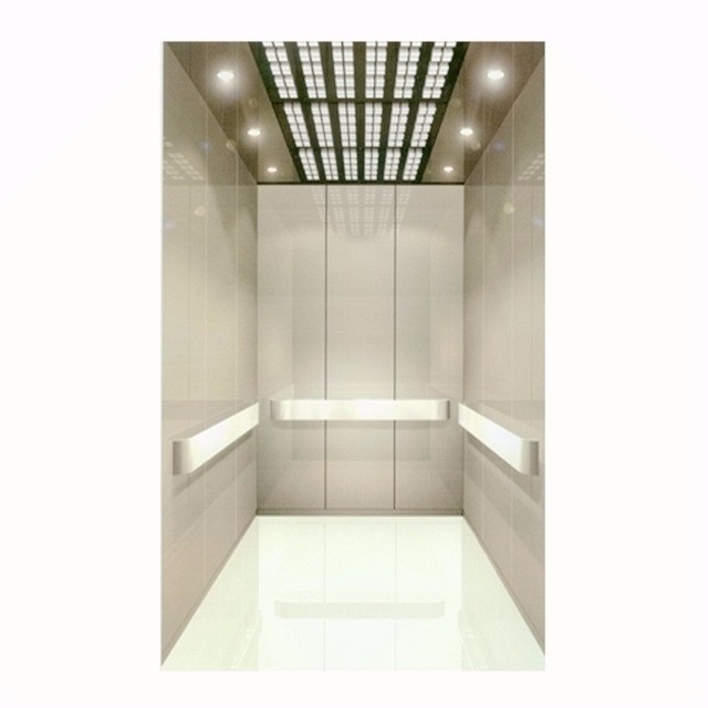 Luxurious Passenger Elevator 1 0m s
