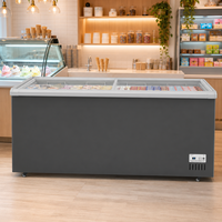 Congélateur coffre à refroidissement direct en acier inoxydable, température unique, livraison rapide, fabriqué en Chine, garantie 1 an, pour supermarché et épicerie