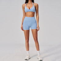 Ensemble de yoga sans couture en gros : soutiens-gorge tour de cou, shorts rehausseurs de hanches, ensemble d'entraînement Pilates pour femmes