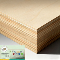 Panneau de contreplaqué Guangxi 4x8 le plus vendu sur Alibaba avec placage de bouleau, écologique et imperméable pour la cuisine et l'atelier