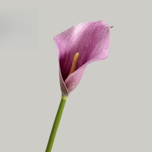 Nuovo prodotto 50cm/60cm fiori artificiali tulipano decorazione per la <span class=keywords><strong>casa</strong></span> accessori per interni decorazioni floreali per decorare la <span class=keywords><strong>casa</strong></span> - Product Image 6