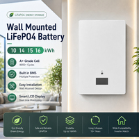 Batterie de stockage d'énergie domestique murale 51,2 V 100 Ah 200 Ah 300 Ah LiFePO4 pour onduleur hybride