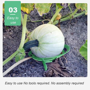 Support pour melon, support pour fruits, support pour légumes, plateau de culture, panier de support, cadre de protection pour courgettes et citrouilles - Product Image 6