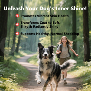 Compléments alimentaires Omega 3 <span class=keywords><strong>6</strong></span> 9 pour chiens avec étiquette personnalisée, favorisent une peau saine et éclatante, une mobilité libre et un soutien articulaire, capsules molles pour animaux de compagnie - Product Image 3