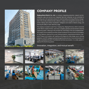 Relais numérique à double affichage Baiwei, protection contre les surtensions, limitation de courant AC, protection de tension réglable monophasée sur rail DIN - Product Image 5