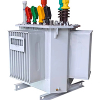 Transformador de Distribución Sumergido en Aceite Sellado para Aplicaciones de Subestaciones de 10kV 0.4KV