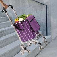 Chariot de supermarché pliable Chariot d'escalade urbain Panier d'épicerie Blanchisserie Shopping Handcart Chariot à roulettes portable en acier inoxydable