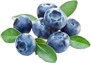 ผงสารสกัดจากบิลเบอร์รี่1 ~ 40% แอนโธไซยานิน - Product Image 3