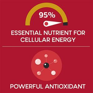 Suplemento de CoQ10 Ubiquinol de Buena Calidad, 100 mg, Favorece la Absorción, Patentado, Soluble en Agua y Grasa, para Adultos - Product Image 2