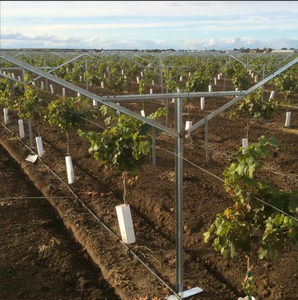 <span class=keywords><strong>Le</strong></span> Nouveau Système de Treillis pour Vignes en Fer avec Finition Galvanisée, Structure de Support en Y Facilement Assemblable pour Vergers - Product Image 5