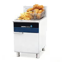 Friteuse à pommes de terre à gaz professionnelle en acier inoxydable à double panier pour les restaurants de restauration rapide et les magasins de restauration rapide