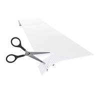 Film Adhésif Souple Transparent Ultra Fin P10 10mm pour Affiches Numériques SDK, Certifié IP61, Garantie 5 Ans, Idéal Centres Commerciaux