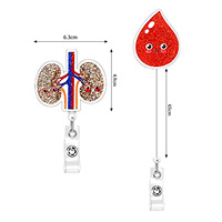 Insigne rétractable de bobine d'insigne de scintillement d'infirmière avec des modèles de coeur de rein d'estomac de poumon d'organe acrylique pour le docteur