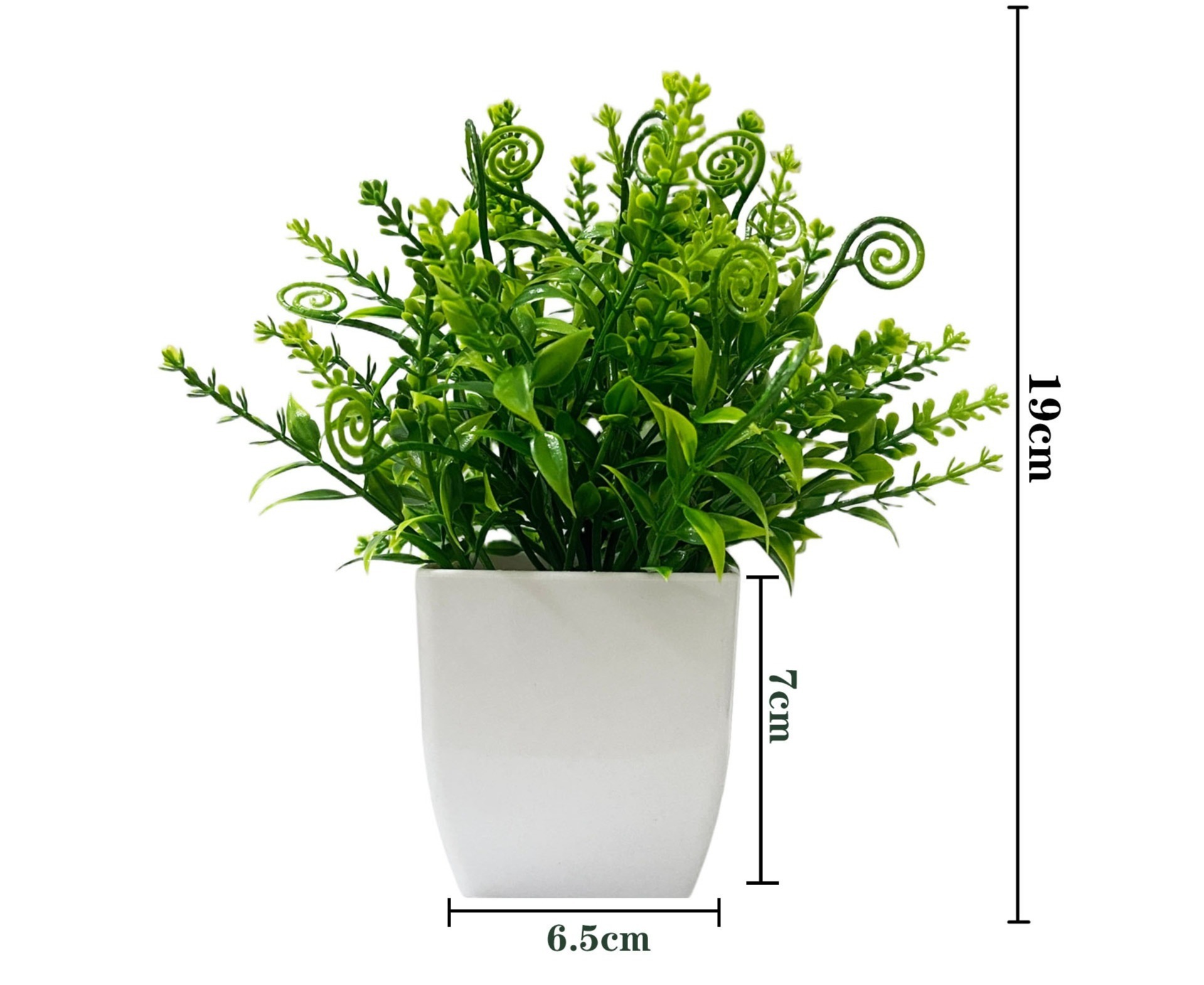 Seahorse grass potted plant green