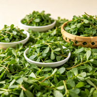 Extrait de feuille de Bacopa Monnieri 20% Bacosides 10:1 Poudre hydrosoluble Améliore la mémoire Emballage en vrac 1kg en fût Aliment santé
