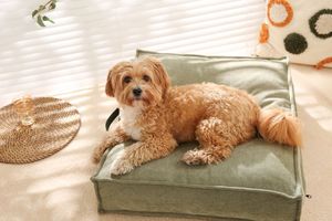 Cama para mascotas de lino de estilo moderno y lujoso, totalmente lavable, diseño cómodo con asa, colchón para perros - Product Image 6