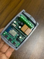 Interruptor de Control Remoto Inteligente Wifi Tuya Universal de 433MHz, Receptor para Puerta de Garaje, Módulo de Relé de 2 Canales