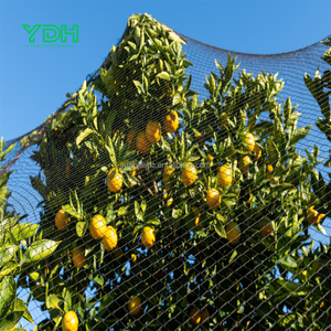 <span class=keywords><strong>Malla</strong></span> de plástico PE antiaves con servicio de corte para agricultura, red de niebla de nylon UV para protección de vegetales en granjas - Product Image 4