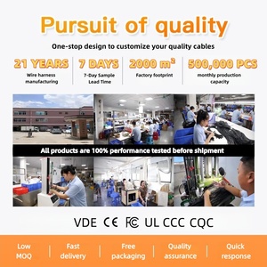 สายเคเบิลแบบกำหนดเอง Xinying ชุดสายไฟแบบกำหนดเอง <span class=keywords><strong>JST</strong></span> SM 2.54 ฟิวส์ DJ7091Y-<span class=keywords><strong>23</strong></span>-1121 สายเคเบิลขั้วต่อไฟรถยนต์ สายจั๊มพ์รถยนต์ - Product Image 6