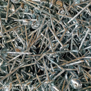 Wholesale 2'' 2.5'' 3'' Galvanized <b>Iron</b> Umbrella Head Roofing Nail with Twisted Shank - Product Image 6
