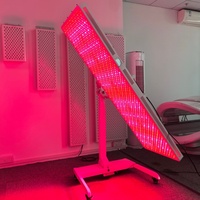 Appareil de photothérapie à lumière rouge de qualité médicale pour le corps entier, vente en gros, 660 nm 850 nm