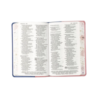 Vente en gros et fournisseur PU cuir couvre Bibles Kjv Holy Bible King James Version Bible Book Printing