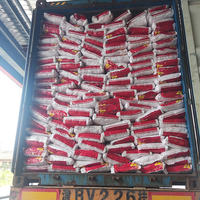 Le détergent en poudre en poudre 30g emballage personnalisé échantillon gratuit fabricant en Chine