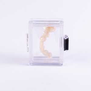 Trasparente in plastica con vista Membran contenitore di plastica sicuro per il deposito di restauri dentali scatola galleggiante - Product Image 3