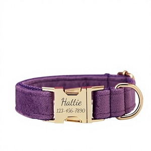 Conjunto de Collar y Correa para Perro de Terciopelo Sólido Personalizado con Nombre Grabado, Campana y Lazo de Terciopelo Morado, Envío Gratis - Product Image 1