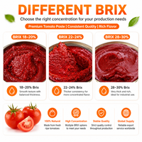 Prix d'usine 28-30% Pâte de tomate Brix dans un emballage en papier aseptique Emballage en forme de brique Purée de tomate de marque privée personnalisée