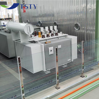 Transformador de Prueba Sumergido en Aceite de Alta Tensión, Fabricación de Transformadores en China