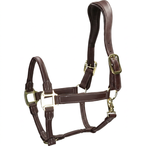 Harnais en cuir pour chevaux en gros, prix d'usine pour les acheteurs mondiaux de Divine International - Product Image 1
