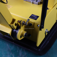 Compacteur à plaques réversible pour moteur à essence diesel personnalisé OEM Machines routières 38KN Compacteur à plaques manuel compact pour le sol