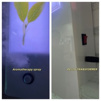 Environnement multisensoriel, stimulation olfactive, panneau lumineux LED aromatique, thérapie d'intégration sensorielle, panneau mural aromatique interactif