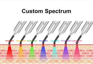 Nouvelle lampe torche portable TL09-J 630 660 710 850 900nm pour clinique, soulagement de la douleur des animaux de compagnie, cicatrisation des plaies, thérapie par lumière rouge, 2025 - Product Image 4