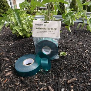 Nastro per legare piante, nastro da giardino in PE, 1/2 pollice, 200 piedi, 6 mil, nastro di supporto per piante - Product Image 1
