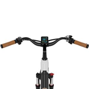 Vélo Électrique Urbain 26 Pouces 48V Longue Portée 250W pour Adulte, Batterie Lithium, Vélo Électrique (Ebike) - Entrepôt UE - Product Image 3