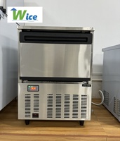 WICE Factory Luxury 80kg/day Large Cube Ice Machine | Haute transparence et temps de fusion lent | Parfait pour les bars