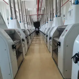 300Tons China Factory Wheat Flour Mill Turnkey Proejct PLC System wheat flour milling