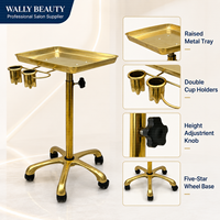 Plateau de travail mobile en acier inoxydable de haute qualité pour tatouage, réglable en hauteur, avec roulettes pour salon