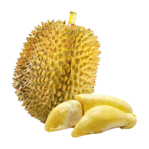 Yüksek Kalite %100 Doğal Gıda Sınıfı <span class=keywords><strong>Durian</strong></span> Ekstresi %98 Çok Özellikli Dondurarak Kurutulmuş <span class=keywords><strong>Durian</strong></span> Meyve Tozu - Product Image 2