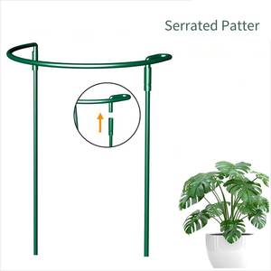 Chất Lượng Cao Nhựa Tráng Màu Xanh Lá Cây Nửa Nhà Máy Hỗ Trợ Trellis Trong Nhà/Ngoài Trời Làm Vườn Hoa Sắp Xếp Phân Khối Cổ Phần - Product Image 6