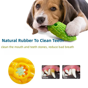 Yeni acı kavun interaktif köpek oyuncaklar sebze köpekler gıcırtılı TPR acı kabak çiğneme diş çıkartma oyuncakları Pet ürünleri - Product Image 3